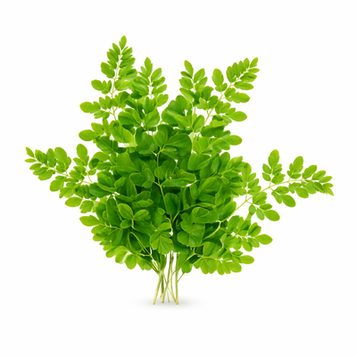Pure Moringa Leaf